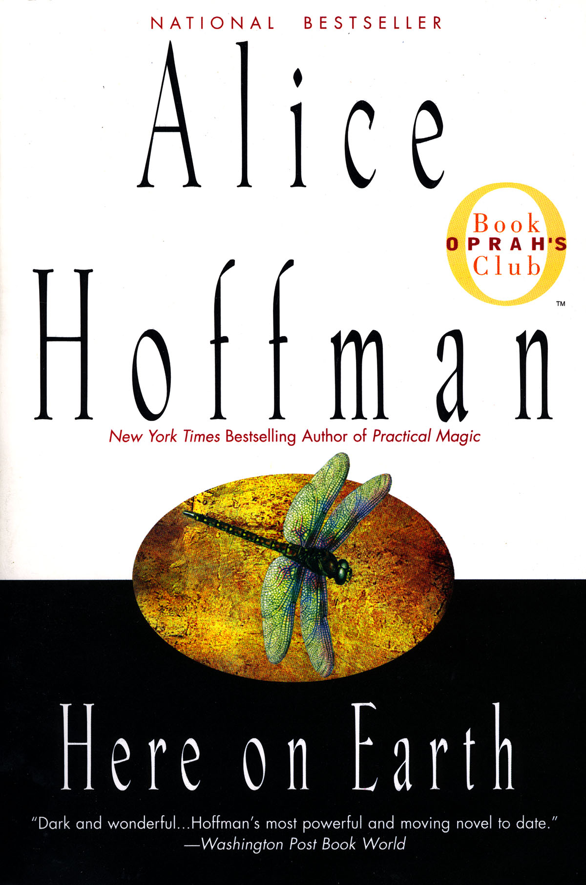 Книга here. Элис Хоффман книги. Nightbird Alice Hoffman Элис Хоффман. Практическая магия книга Элис Хоффман. Book here.