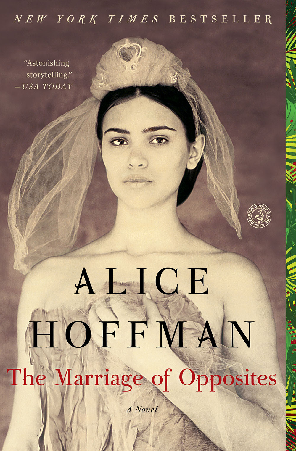 The cover of The Marriage of Opposites by Alice Hoffman