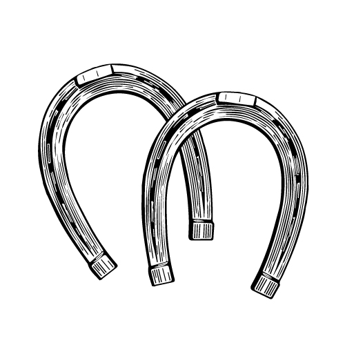 White Horses Alice Hoffman