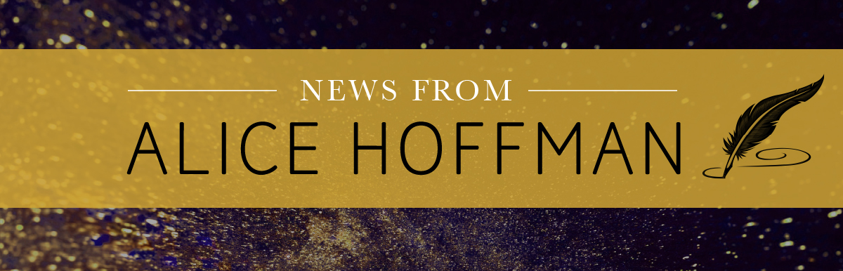 Hoffman newsletter